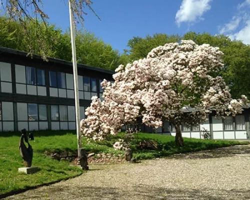 2forside-opholdsstedet-hellebaek